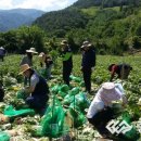 가곡면사무소 이미지