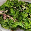 상행농장 이미지