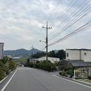 덕상4리 Daum카페