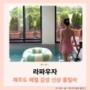 라파우자 | 제주도 애월 감성숙소 신상풀빌라 숙박 후기 라파우자