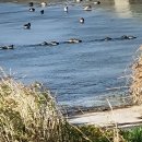 남순천의원 이미지