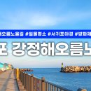 제주여행 ㅣ 바다의 명품, 파도의 산책길 서귀포 강정해오름노을길을 걷다! 이미지