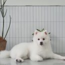 루앤오 네이버블로그