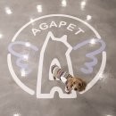 아가펫 이미지