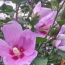 삼천리농장 이미지