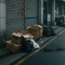 김밥제국 이미지