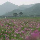 범바구민박 | [공유] 아비 같은 산 어미 같은 강 그 품에 ‘포옥’