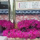 가야사나래 이미지