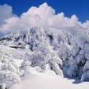 제주의사계 이미지