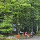 푸른길작은도서관 이미지