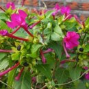 소로3-73 이미지