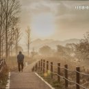 세아정 네이버블로그