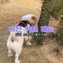 카페빼로