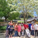 2023년도 상반기 가족캠프(영주 산림치유원-5/17~18) 이미지