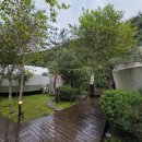파인포레스트 글램핑 가평 가을 글램핑 다녀온 후기 선선한 날씨에 자연 만끽하며 힐링