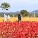 (주)들녘 이미지