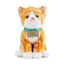 캣플래닛 이미지