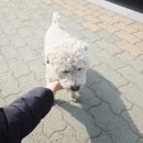 릉라각평양냉면