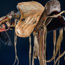 365 PC Zone 이미지