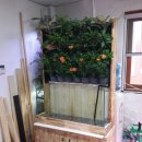 이화유치원 이미지