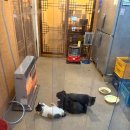 리도칼국수 | [인하대 맛집] 진한 육수의 칼국수와 수육 맛집 가시버시 다녀온 후기 | 칼국수맛집 | 인하대 후문 맛집...