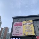 춘천피부관리맛집 뷰티애드 LDM솔루션 관리 후기