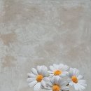 제이앤윰