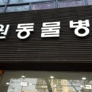 다원 동물병원 이미지