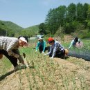 민식농장 이미지