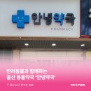 옥동약국 이미지