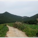 고창선운산풍천장어 이미지