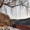 반월-2 이미지