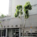 밀알미술관 이미지