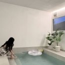 샴프노래클럽 | 경주 독채 신축 풀빌라 추천｜숲결물결 풀빌라 프라이빗 감성 숙소 후기