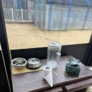 우리애견(멍멍이이발소) | 화성 엄청 넓은 천연잔디애견운동장 커피프로그램 내돈내산 솔직후기