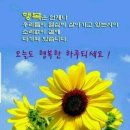 평안 티스토리