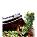 슬로시티삼지내마을 이미지