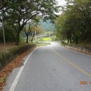 국사지맥 1구간(저수령~지맥분기점~용두산~매봉~용문산~성황당고개) 이미지