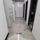 베리 핏 피티 이미지