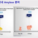 한중하이 이미지