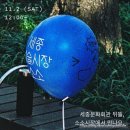 비마이파트너 | [Les pimpants]2019.11월2일 세종 예술시장 소소 참여 후기