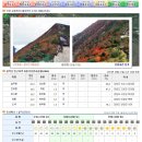 강원내 국립공원 단풍실황정보 및 CCTV 보기 : 2019-09-27 이미지