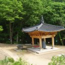 중화사 - 1530 | 중화사