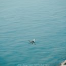 남당항(주차장) 네이버블로그