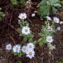 햇살좋은아침 이미지