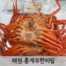 청호동주민센터 | [강원도 속초] 해원 홍게무한리필 내돈내산 방문후기