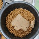 캐니스팜 이미지