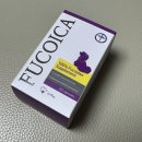 (주)코이카메디칼 | 강아지 유두종 사마귀 크라이오펜 시술+자가 치유 후기