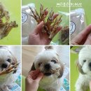 뚱독스 수제간식 이미지