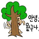 (주) 엘토브